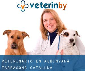 veterinario en Albinyana (Tarragona, Cataluña)