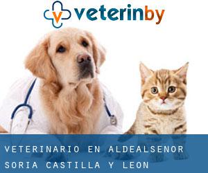 veterinario en Aldealseñor (Soria, Castilla y León)