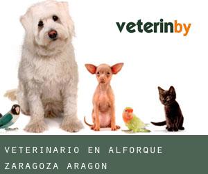 veterinario en Alforque (Zaragoza, Aragón)