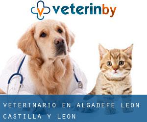 veterinario en Algadefe (León, Castilla y León)