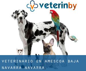 veterinario en Améscoa Baja (Navarra, Navarra)