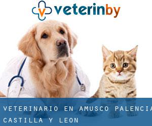 veterinario en Amusco (Palencia, Castilla y León)