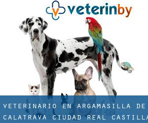 veterinario en Argamasilla de Calatrava (Ciudad Real, Castilla-La Mancha)