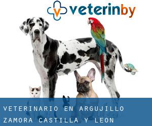 veterinario en Argujillo (Zamora, Castilla y León)
