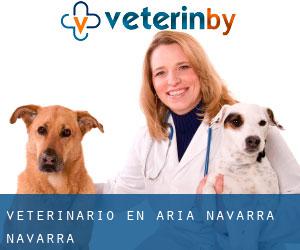 veterinario en Aria (Navarra, Navarra)