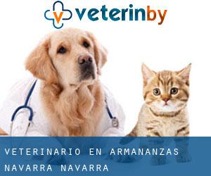 veterinario en Armañanzas (Navarra, Navarra)