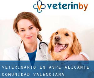 veterinario en Aspe (Alicante, Comunidad Valenciana)