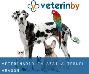 veterinario en Azaila (Teruel, Aragón)