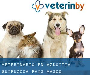 veterinario en Azkoitia (Guipúzcoa, País Vasco)