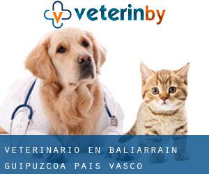 veterinario en Baliarrain (Guipúzcoa, País Vasco)