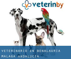 veterinario en Benalauría (Málaga, Andalucía)