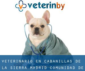 veterinario en Cabanillas de la Sierra (Madrid, Comunidad de Madrid)