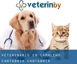 veterinario en Camaleño (Cantabria, Cantabria)