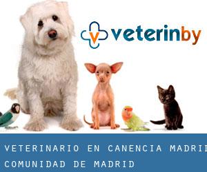 veterinario en Canencia (Madrid, Comunidad de Madrid)
