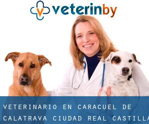 veterinario en Caracuel de Calatrava (Ciudad Real, Castilla-La Mancha)
