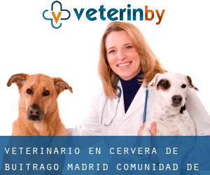 veterinario en Cervera de Buitrago (Madrid, Comunidad de Madrid)