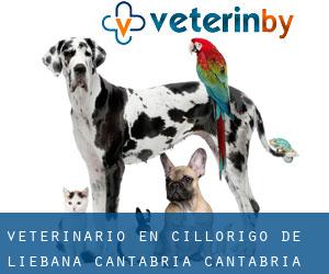 veterinario en Cillorigo de Liébana (Cantabria, Cantabria)