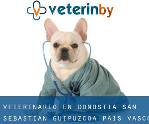veterinario en Donostia / San Sebastián (Guipúzcoa, País Vasco)