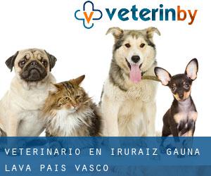 veterinario en Iruraiz-Gauna (Álava, País Vasco)