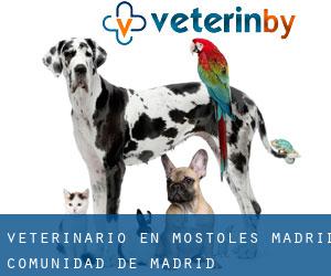 veterinario en Móstoles (Madrid, Comunidad de Madrid)
