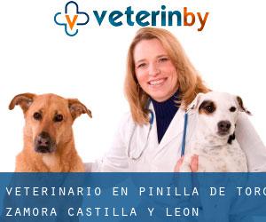 veterinario en Pinilla de Toro (Zamora, Castilla y León)