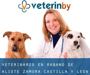 veterinario en Rábano de Aliste (Zamora, Castilla y León)