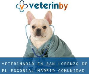 veterinario en San Lorenzo de El Escorial (Madrid, Comunidad de Madrid)