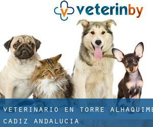 veterinario en Torre Alháquime (Cádiz, Andalucía)