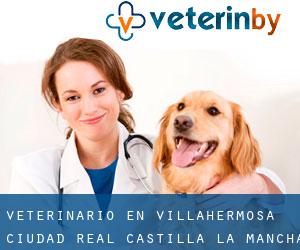 veterinario en Villahermosa (Ciudad Real, Castilla-La Mancha)
