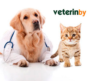 veterinarios en Comunidad de Madrid