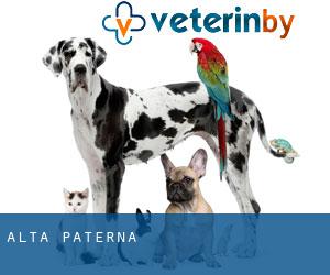 Alta Paterna