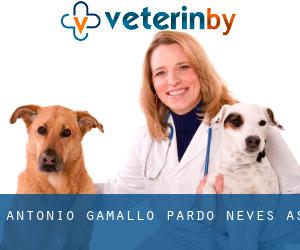 Antonio Gamallo Pardo (Neves (As))
