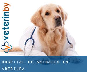 Hospital de animales en Abertura
