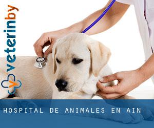 Hospital de animales en Aín