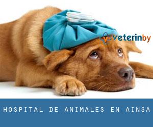 Hospital de animales en Aínsa