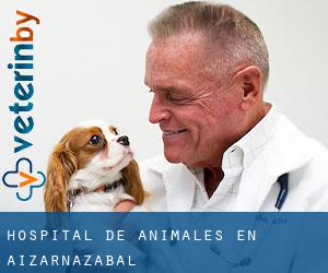 Hospital de animales en Aizarnazabal