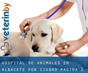 Hospital de animales en Albacete por ciudad - página 2