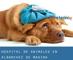 Hospital de animales en Albanchez de Mágina