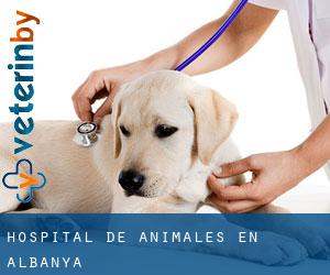 Hospital de animales en Albanyà