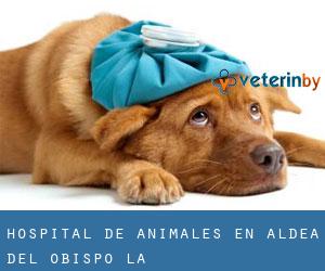 Hospital de animales en Aldea del Obispo (La)