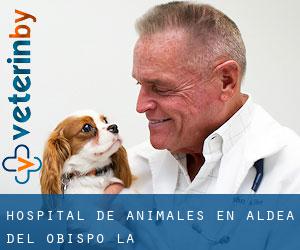 Hospital de animales en Aldea del Obispo (La)