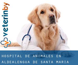 Hospital de animales en Aldealengua de Santa María Hospital de animales en Aldealengua de Santa María