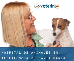 Hospital de animales en Aldealengua de Santa María