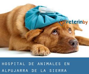 Hospital de animales en Alpujarra de la Sierra