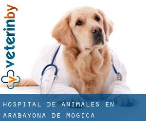 Hospital de animales en Arabayona de Mógica