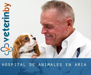 Hospital de animales en Aria