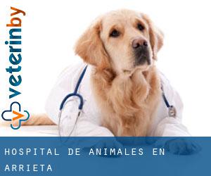 Hospital de animales en Arrieta