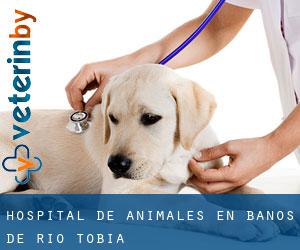 Hospital de animales en Baños de Río Tobía