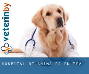 Hospital de animales en Bea