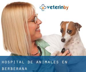 Hospital de animales en Berberana